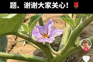 打破曼联＆阿森纳垄断！04/05穆里尼奥率切尔西首夺英超冠军